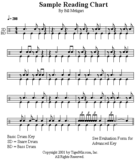 This chart is for use by those who have purchased a professional drum skills evaluation by Tiger Bill